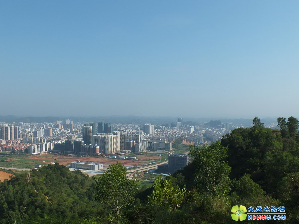 DSCF0446.JPG