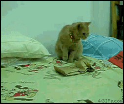 4d086e061d950a7b8f2aef5a0ad162d9f2d3c915.gif