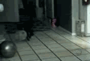 7acb0a46f21fbe092ba5f3946b600c338644adb2.gif