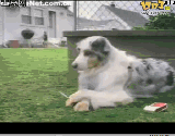 a686c9177f3e670971cc757f3bc79f3df9dc5565.gif