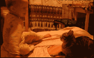 e850352ac65c10389c69695cb2119313b07e891d.gif