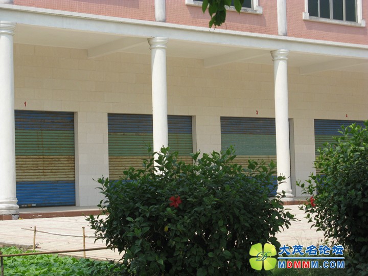 Ƭ 090.jpg