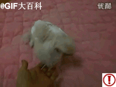 03087bf40ad162d9d6a556a311dfa9ec8b13cdc1.gif