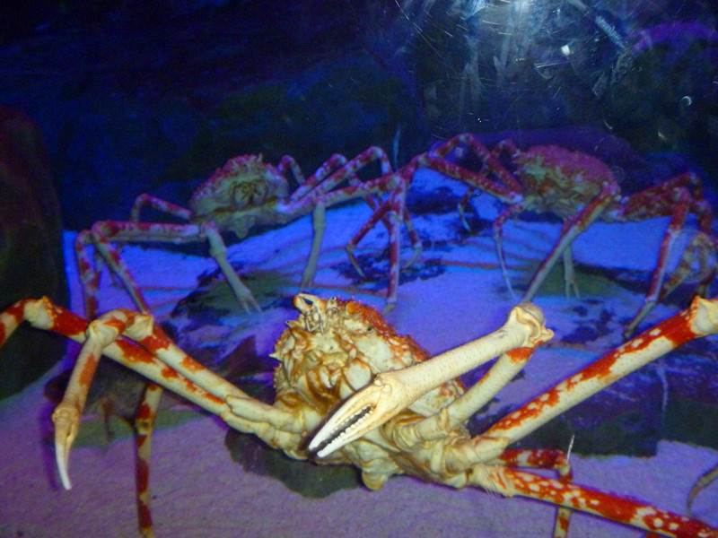 P1020402_.jpg