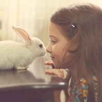 9a31c9ea15ce36d34c55b6bd3af33a87e850b16a.jpg