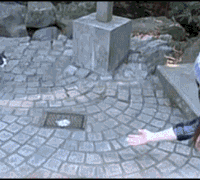 3812b31bb051f8191a9f5904dab44aed2f73e7c2.gif