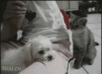 b6e0160619d8bc3e4897767f828ba61ea9d34552.gif