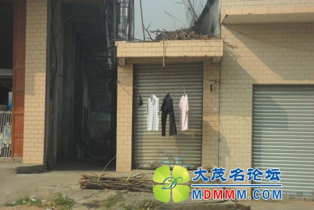 205020yfha97njh9hacwwd.jpg