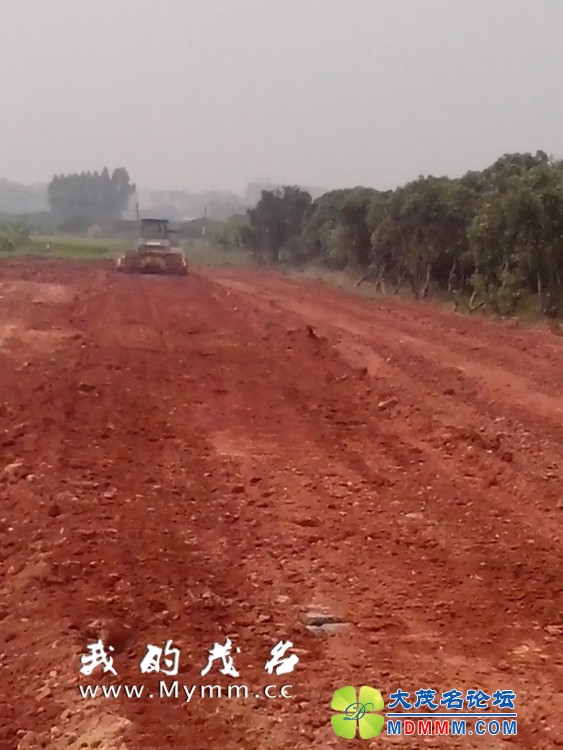081103wkbaoakpkapkzgmo.jpg