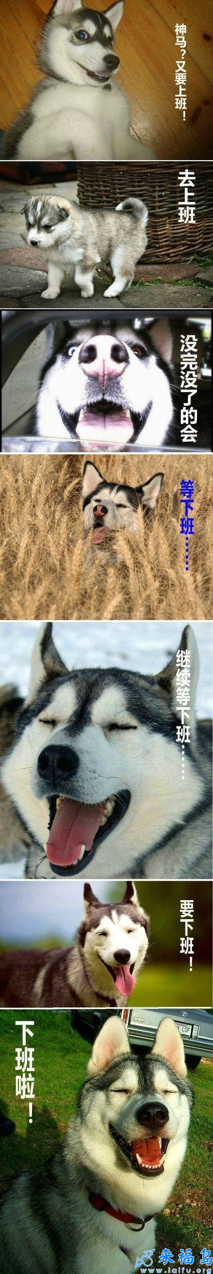 201219184227.jpg