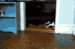 1325a7b3d933c8957f6b91d4d11373f082020019.gif