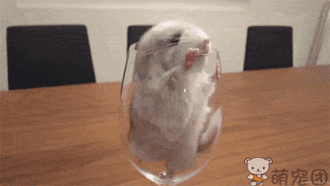 1e099ee00ad162d9886dfcb111dfa9ec8b13cdb6.gif