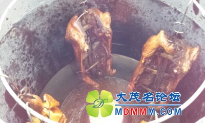 IMG20121023175645.jpg