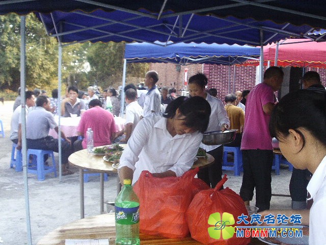 IMAG0008.JPG