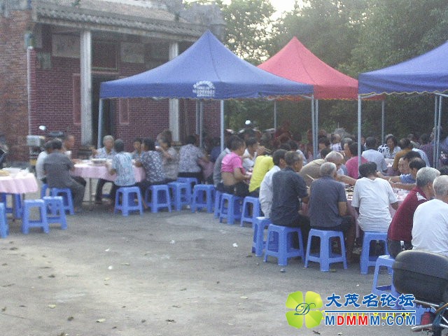 IMAG0031.JPG