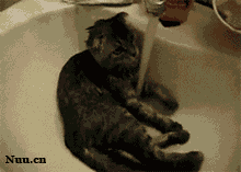 2628c8e1e0fe9925ceef7bff34a85edf8cb17157.gif