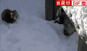 580a2d723557f2c3bd449958d3534189.gif