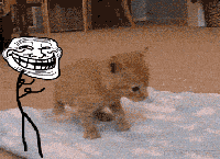 5537250edac5075a66845a834ded9500.gif