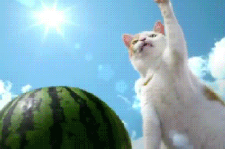 cf140c088f55dc2a59d28849ae84aca6.gif