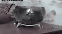 ec44d5fb6e6f1a81b58672a8d37da013.gif