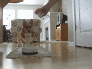 8c1d77d5cde41e34c24227990a9d4579.gif