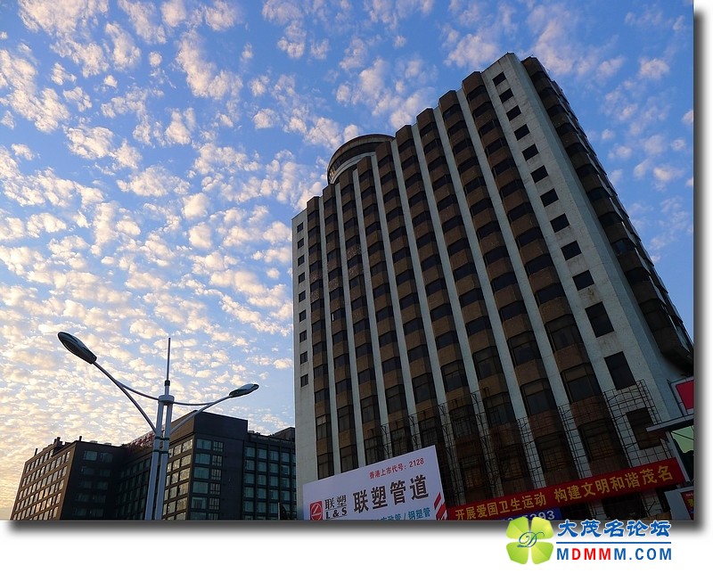 P1010388a.jpg