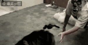 e4a9d42a2834349ba473b675c9ea15ce37d3be4a.gif