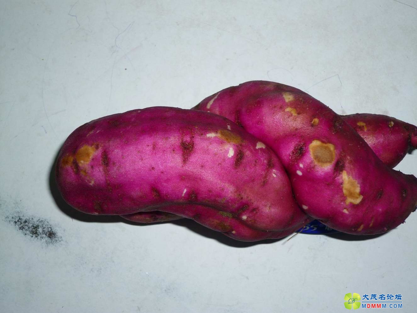 5.JPG
