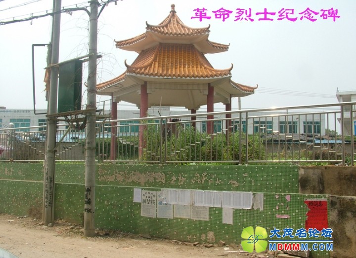 DSCF8050.jpg