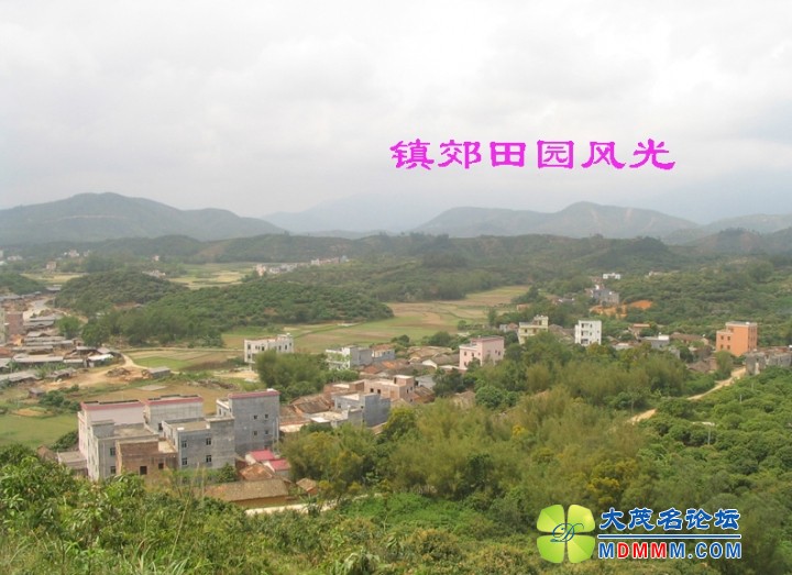 Ƭ 036.jpg