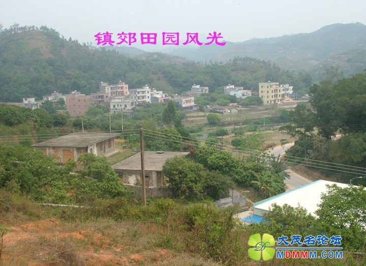 DSCF8059.jpg