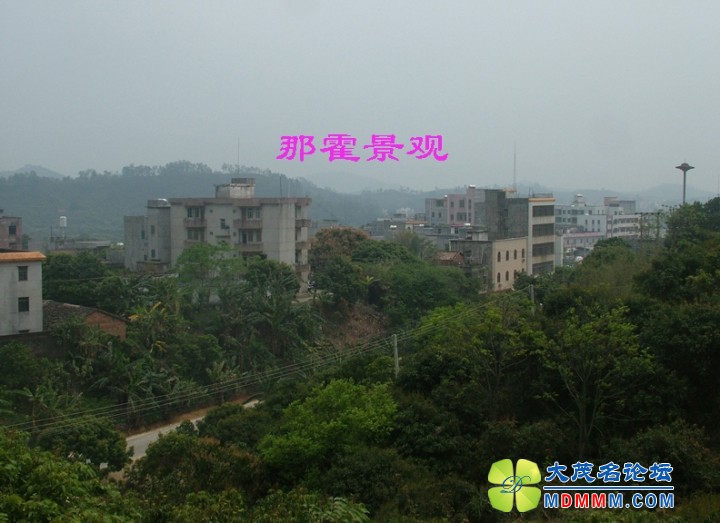 DSCF8060.jpg