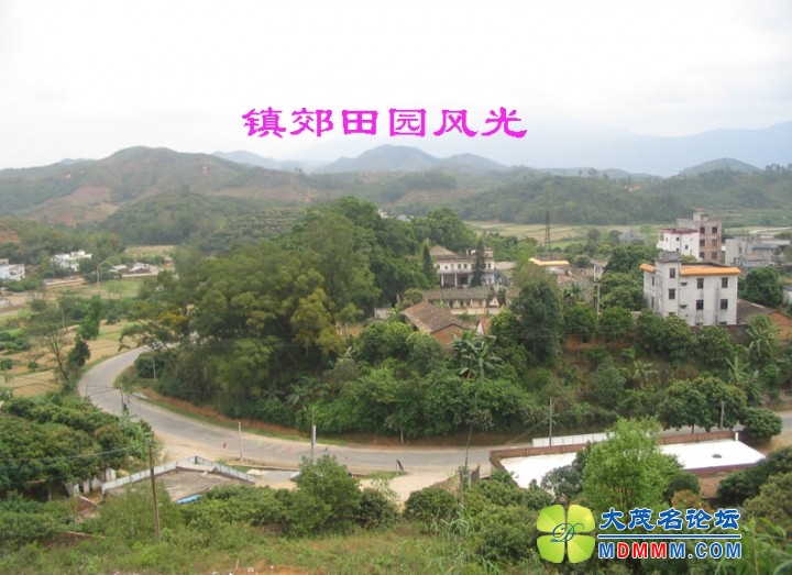 Ƭ 023.jpg