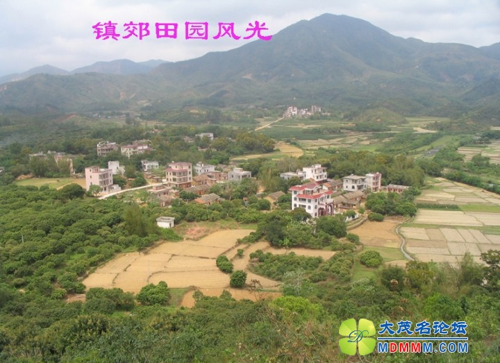 Ƭ 040.jpg