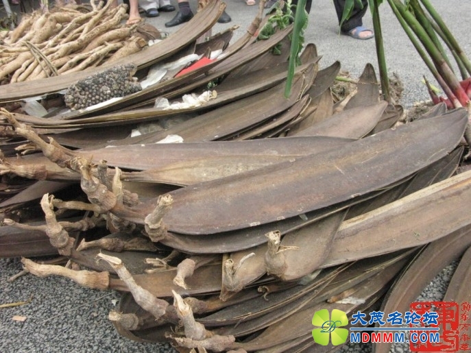 2011060914293844.jpg