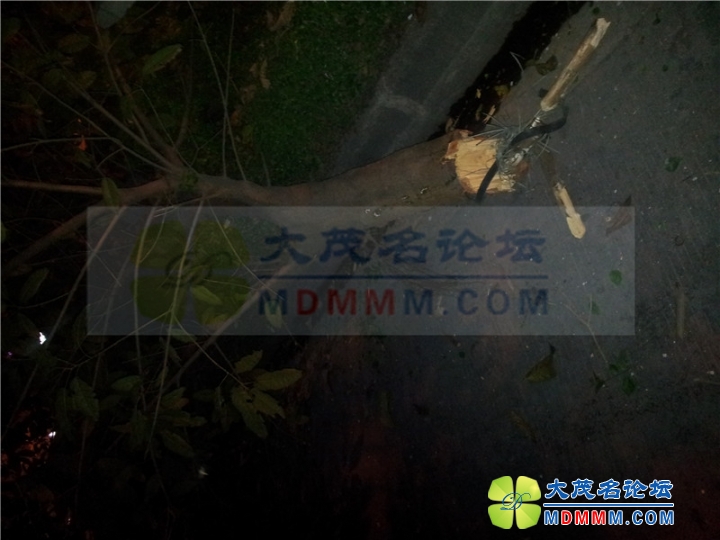 20121227_043632.jpg