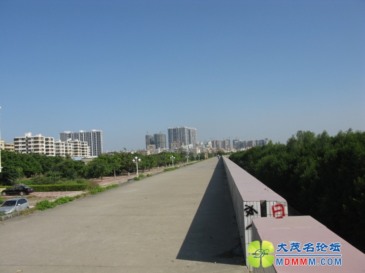 Ƭ 025.jpg