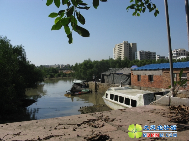 Ƭ 080.jpg