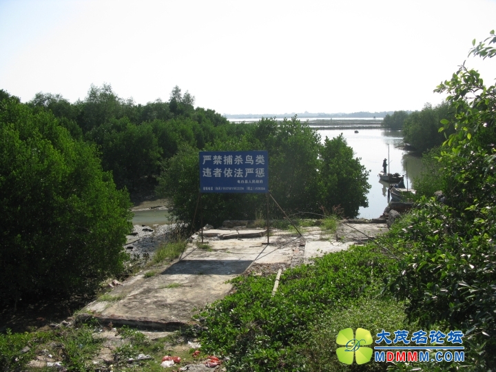 Ƭ 053.jpg