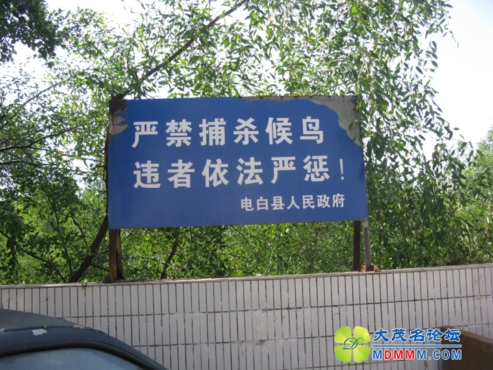 Ƭ 068.jpg
