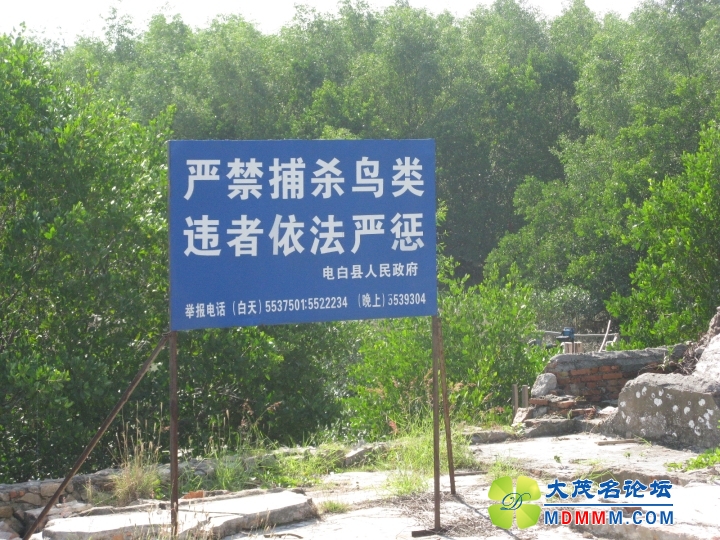 Ƭ 051.jpg