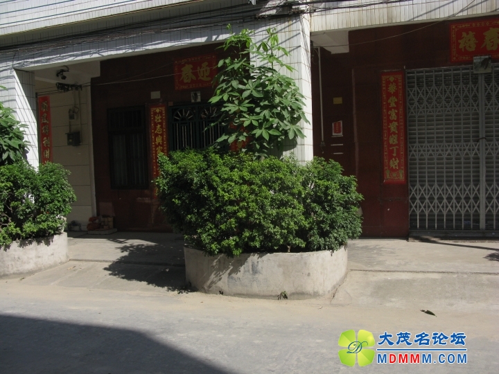 Ƭ 091.jpg