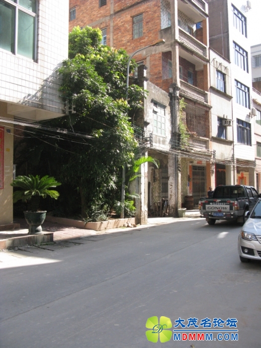 Ƭ 093.jpg