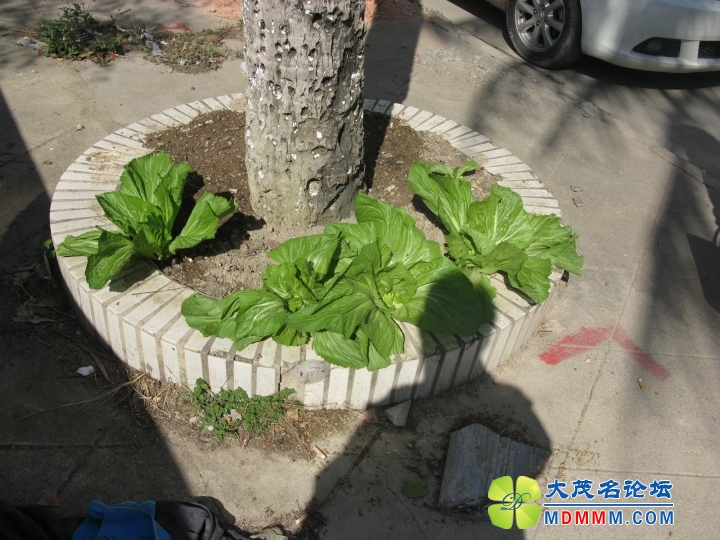 Ƭ 076.jpg