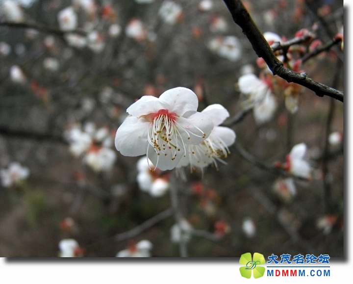 DSCF6578.jpg