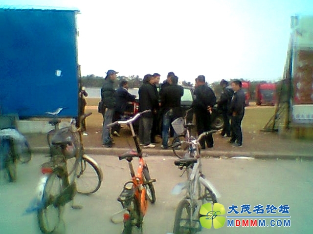Ƭ0331.jpg