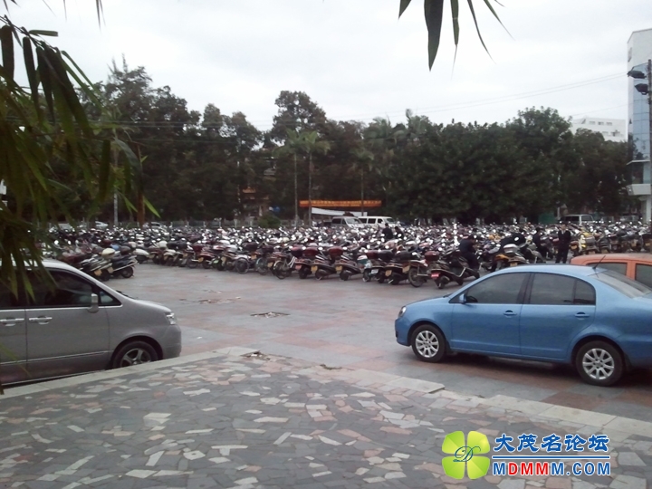 WP_000016.jpg