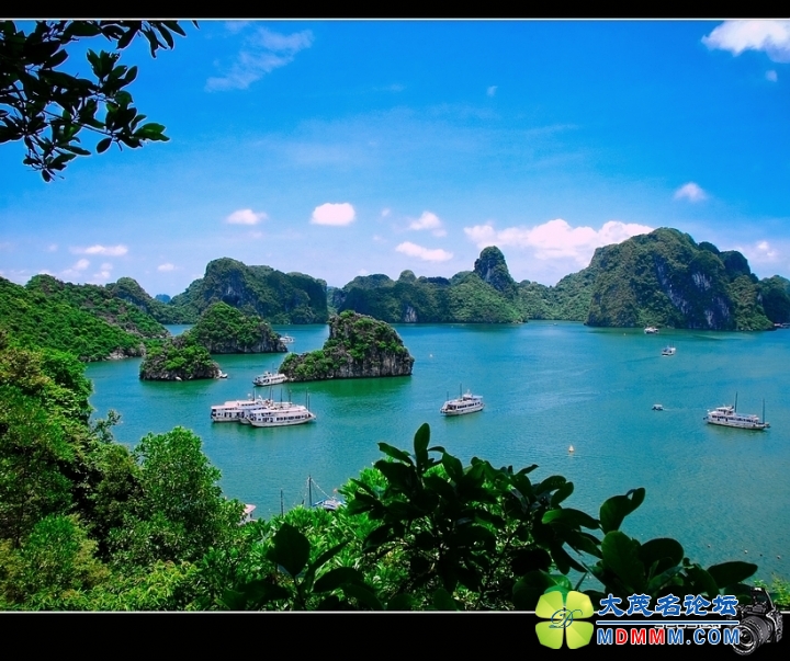 DSCF2871-1.jpg