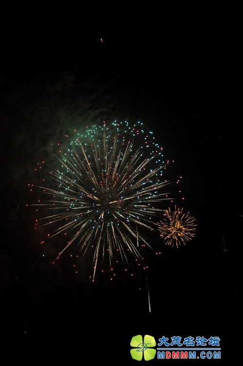 DSC_0428_.jpg