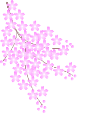 1139055813.jpg